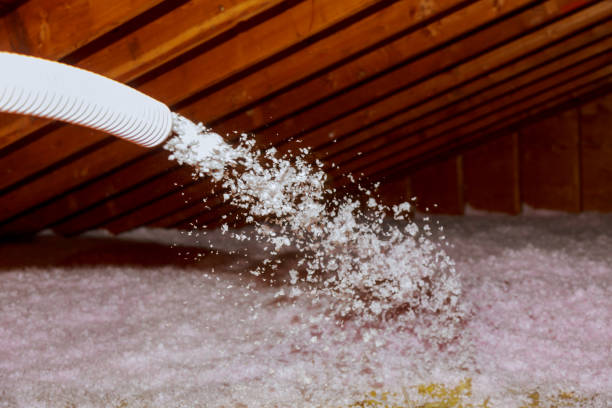 Best Home Insulation Services  in Portsmouth, VA