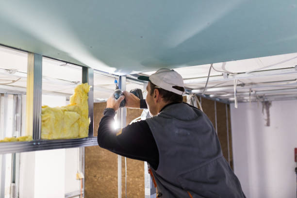 Best Insulation for New Construction  in Portsmouth, VA