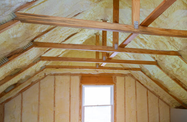 Best Professional Insulation Contractor  in Portsmouth, VA