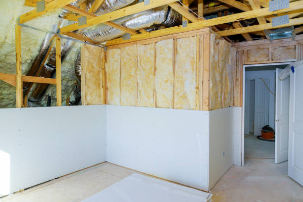 Best Energy-efficient Insulation  in Portsmouth, VA