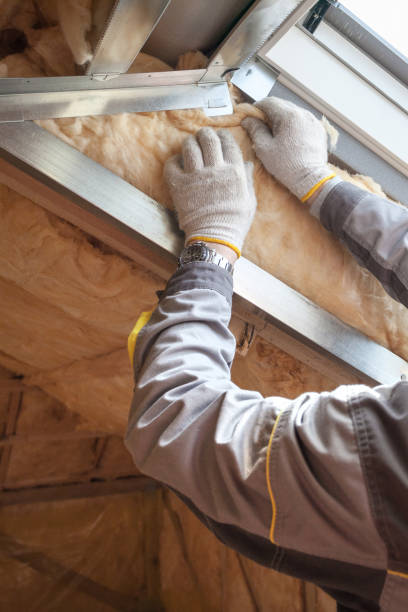 Best Best Insulation Companies  in Portsmouth, VA
