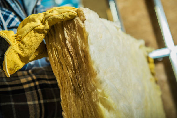 Best Local Insulation Services  in Portsmouth, VA