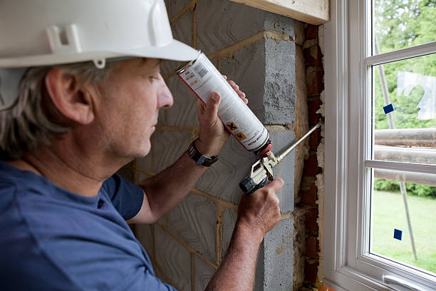 Best Insulation Removal  in Portsmouth, VA