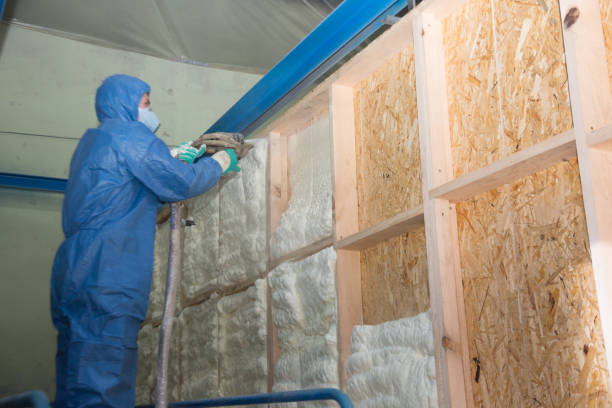 Best Insulation Replacement Services  in Portsmouth, VA